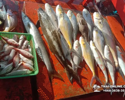 Большая морская рыбалка 7 Countries Паттайя Таиланд Real Fishing 210