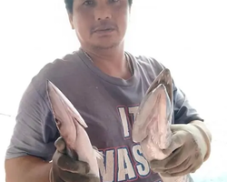 Большая морская рыбалка 7 Countries Паттайя Таиланд Real Fishing 859