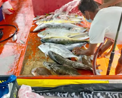 Большая морская рыбалка 7 Countries Паттайя Таиланд Real Fishing 202