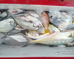 Большая морская рыбалка 7 Countries Паттайя Таиланд Real Fishing 552