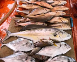 Большая морская рыбалка 7 Countries Паттайя Таиланд Real Fishing 79