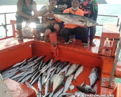 Большая морская рыбалка 7 Countries Паттайя Таиланд Real Fishing 51