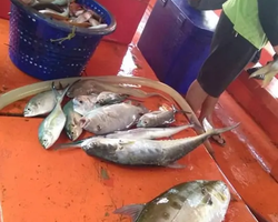 Большая морская рыбалка 7 Countries Паттайя Таиланд Real Fishing 411