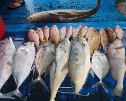 Большая морская рыбалка 7 Countries Паттайя Таиланд Real Fishing 294