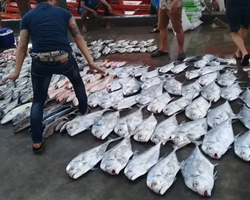 Большая морская рыбалка 7 Countries Паттайя Таиланд Real Fishing 100
