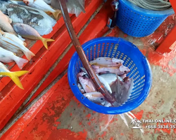 Большая морская рыбалка 7 Countries Паттайя Таиланд Real Fishing 95