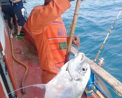 Большая морская рыбалка 7 Countries Паттайя Таиланд Real Fishing 250