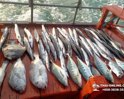 Большая морская рыбалка 7 Countries Паттайя Таиланд Real Fishing 110