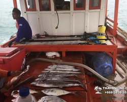 Большая морская рыбалка 7 Countries Паттайя Таиланд Real Fishing 427
