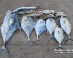 Большая морская рыбалка 7 Countries Паттайя Таиланд Real Fishing 297