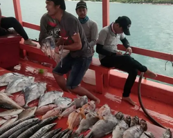 Большая морская рыбалка 7 Countries Паттайя Таиланд Real Fishing 290