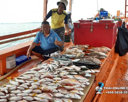Большая морская рыбалка 7 Countries Паттайя Таиланд Real Fishing 116