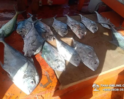Большая морская рыбалка 7 Countries Паттайя Таиланд Real Fishing 553