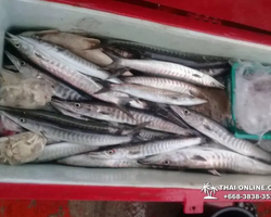 Большая морская рыбалка 7 Countries Паттайя Таиланд Real Fishing 760