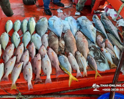 Большая морская рыбалка 7 Countries Паттайя Таиланд Real Fishing 54
