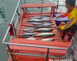 Большая морская рыбалка 7 Countries Паттайя Таиланд Real Fishing 56