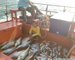 Большая морская рыбалка 7 Countries Паттайя Таиланд Real Fishing 238
