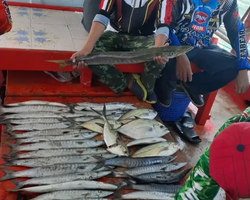 Большая морская рыбалка 7 Countries Паттайя Таиланд Real Fishing 102