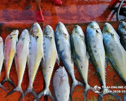 Большая морская рыбалка 7 Countries Паттайя Таиланд Real Fishing 265