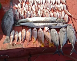 Большая морская рыбалка 7 Countries Паттайя Таиланд Real Fishing 262