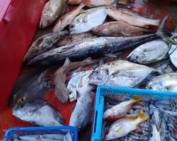 Большая морская рыбалка 7 Countries Паттайя Таиланд Real Fishing 93