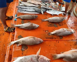 Большая морская рыбалка 7 Countries Паттайя Таиланд Real Fishing 115