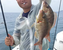 Большая морская рыбалка 7 Countries Паттайя Таиланд Real Fishing 420
