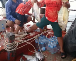 Большая морская рыбалка 7 Countries Паттайя Таиланд Real Fishing 305