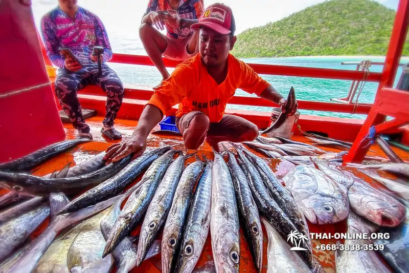 Большая морская рыбалка 7 Countries Паттайя Таиланд Real Fishing 5
