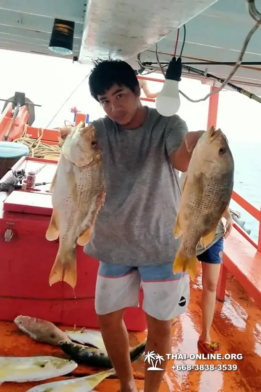 Большая морская рыбалка 7 Countries Паттайя Таиланд Real Fishing 489