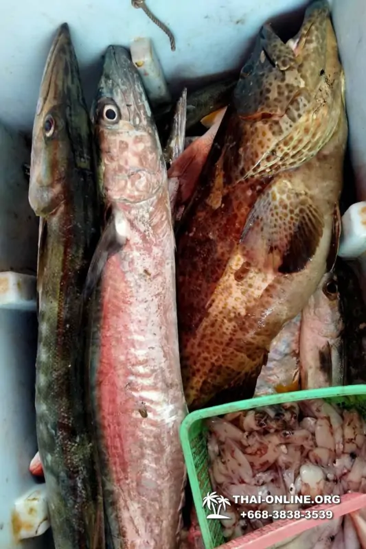Большая морская рыбалка 7 Countries Паттайя Таиланд Real Fishing 200
