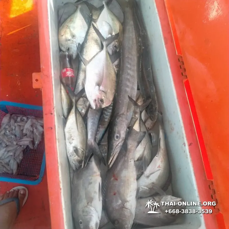 Большая морская рыбалка 7 Countries Паттайя Таиланд Real Fishing 395
