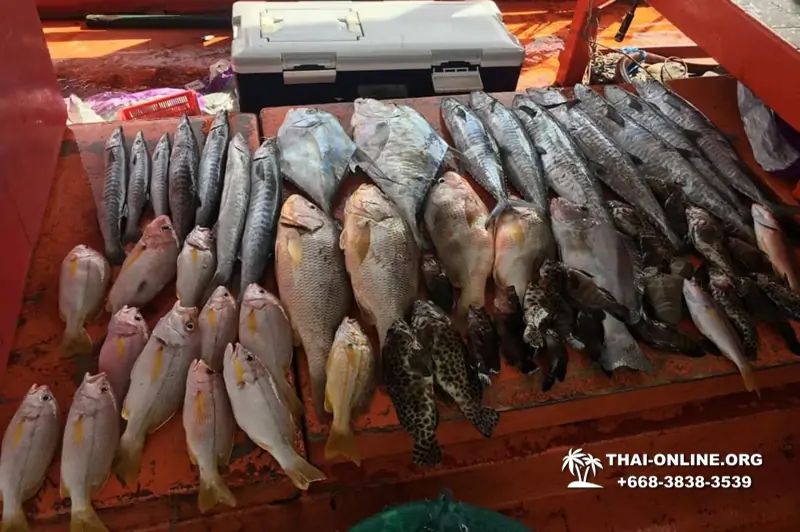 Большая морская рыбалка 7 Countries Паттайя Таиланд Real Fishing 194