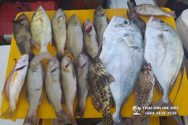 Большая морская рыбалка 7 Countries Паттайя Таиланд Real Fishing 502