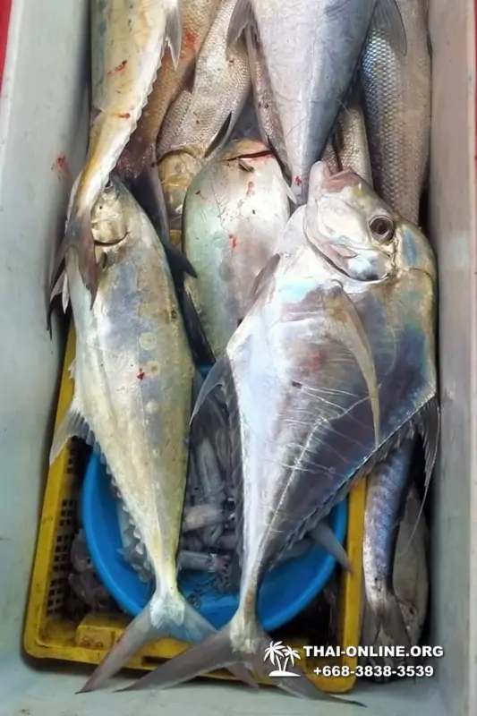 Большая морская рыбалка 7 Countries Паттайя Таиланд Real Fishing 400