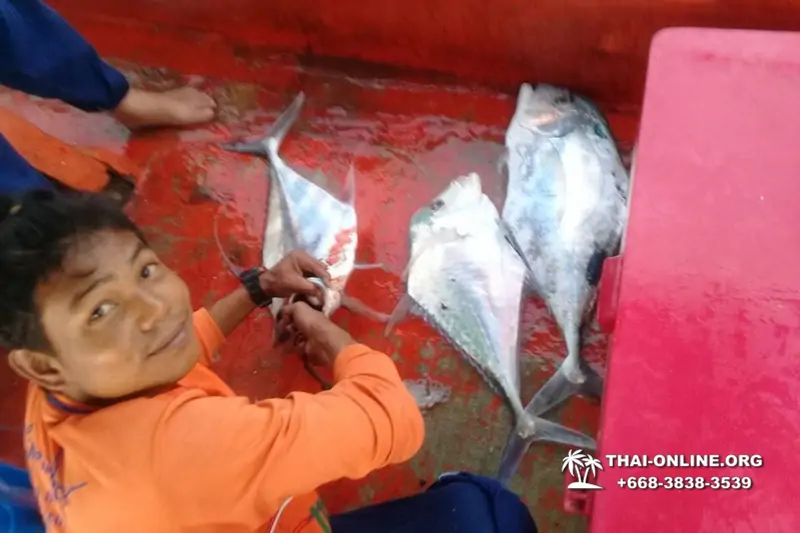 Большая морская рыбалка 7 Countries Паттайя Таиланд Real Fishing 818