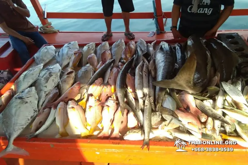 Большая морская рыбалка 7 Countries Паттайя Таиланд Real Fishing 228
