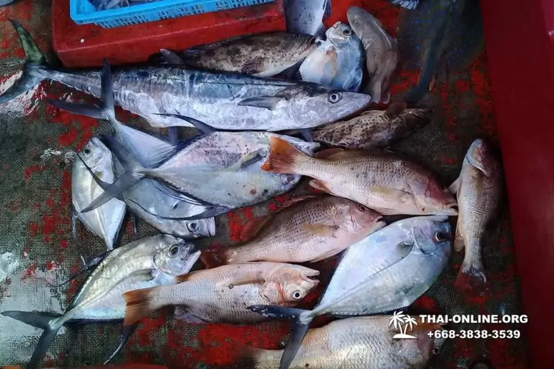 Большая морская рыбалка 7 Countries Паттайя Таиланд Real Fishing 42