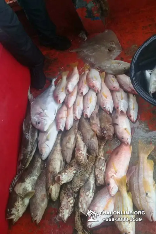 Большая морская рыбалка 7 Countries Паттайя Таиланд Real Fishing 550