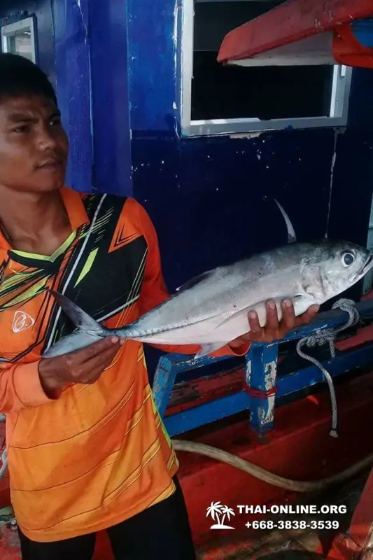 Большая морская рыбалка 7 Countries Паттайя Таиланд Real Fishing 513