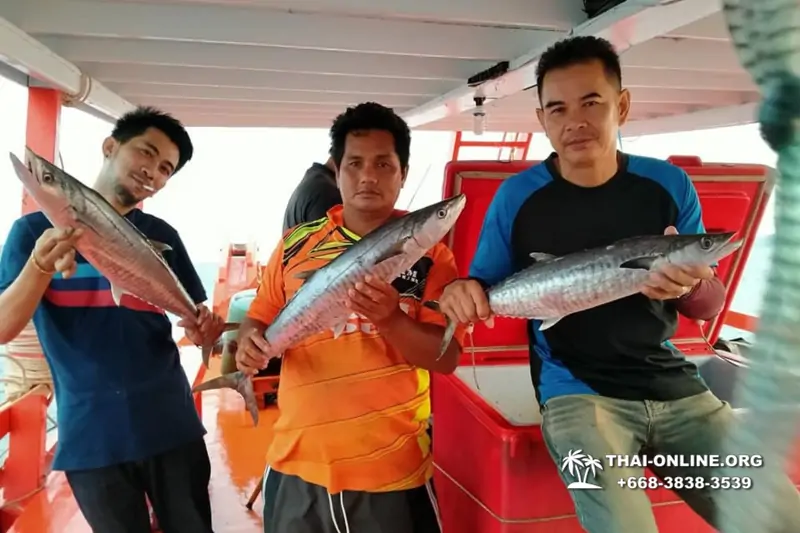 Большая морская рыбалка 7 Countries Паттайя Таиланд Real Fishing 500