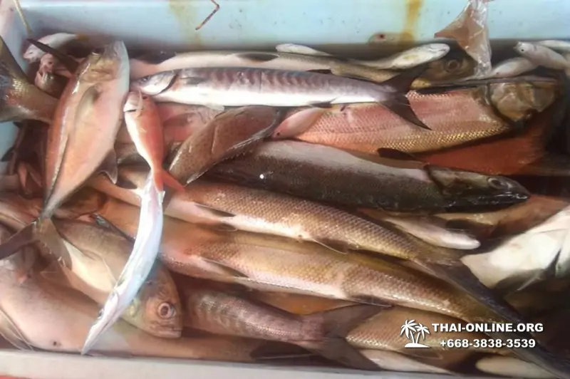 Большая морская рыбалка 7 Countries Паттайя Таиланд Real Fishing 610