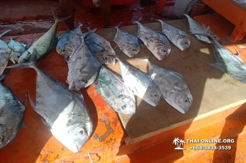 Большая морская рыбалка 7 Countries Паттайя Таиланд Real Fishing 507
