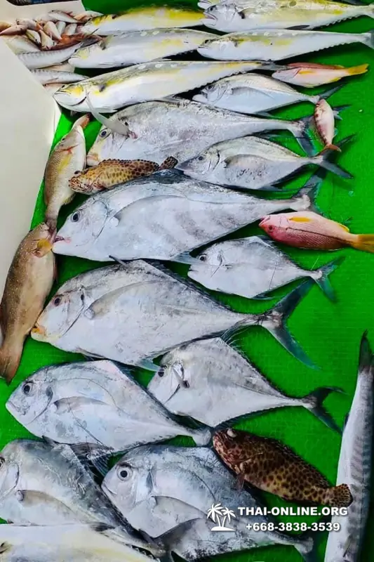 Большая морская рыбалка 7 Countries Паттайя Таиланд Real Fishing 87