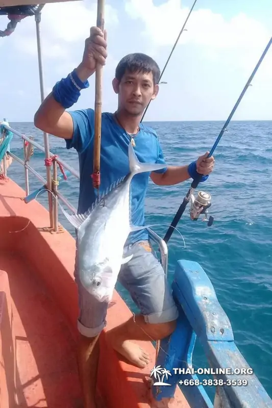 Большая морская рыбалка 7 Countries Паттайя Таиланд Real Fishing 503