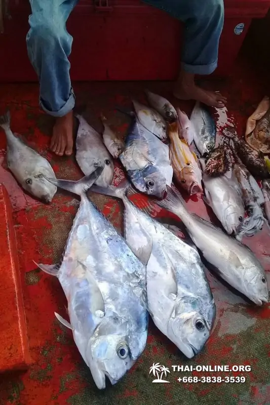 Большая морская рыбалка 7 Countries Паттайя Таиланд Real Fishing 198