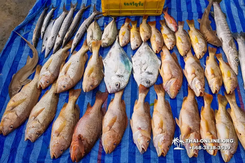 Большая морская рыбалка 7 Countries Паттайя Таиланд Real Fishing 2