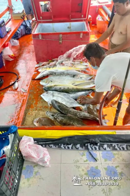 Большая морская рыбалка 7 Countries Паттайя Таиланд Real Fishing 202