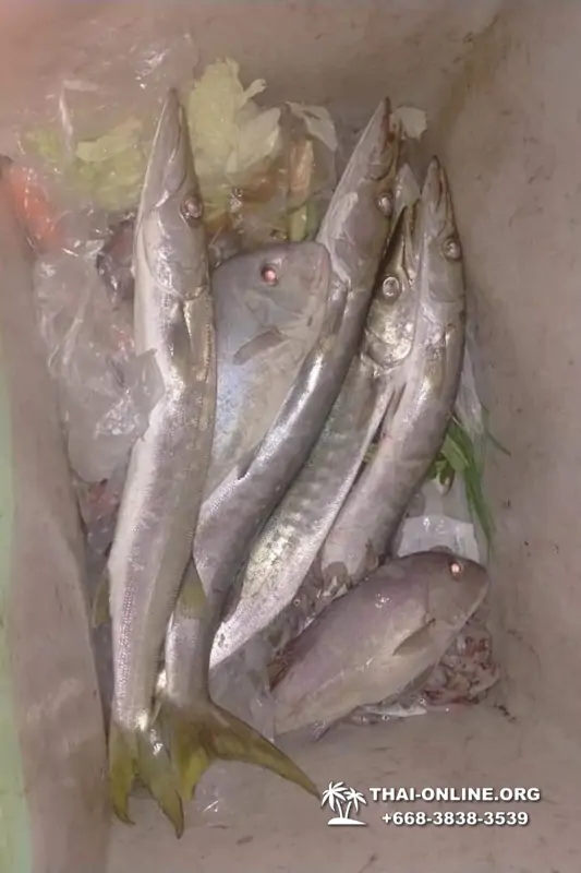 Большая морская рыбалка 7 Countries Паттайя Таиланд Real Fishing 862