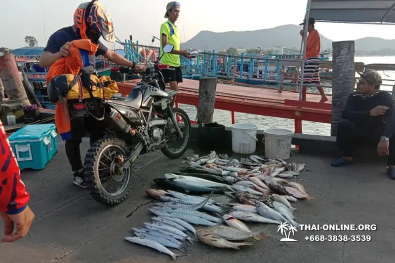 Большая морская рыбалка 7 Countries Паттайя Таиланд Real Fishing 219